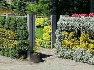 6 Inspirasi Desain Taman Depan Rumah bagi Pemula