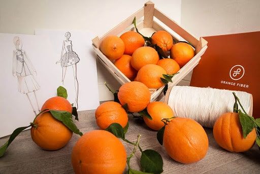 Keren! 5  Limbah Makanan Ini Diolah Jadi Pakaian dan Sepatu
