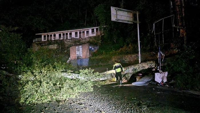 Kondisi pohon tumbang yang menutup Jalan Parapat-Siantar. (Dok. Polres Simalungun)