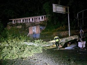 Pohon Tumbang Tutup Jalan Parapat-Siantar, Lalin Lumpuh Selama 2 Jam