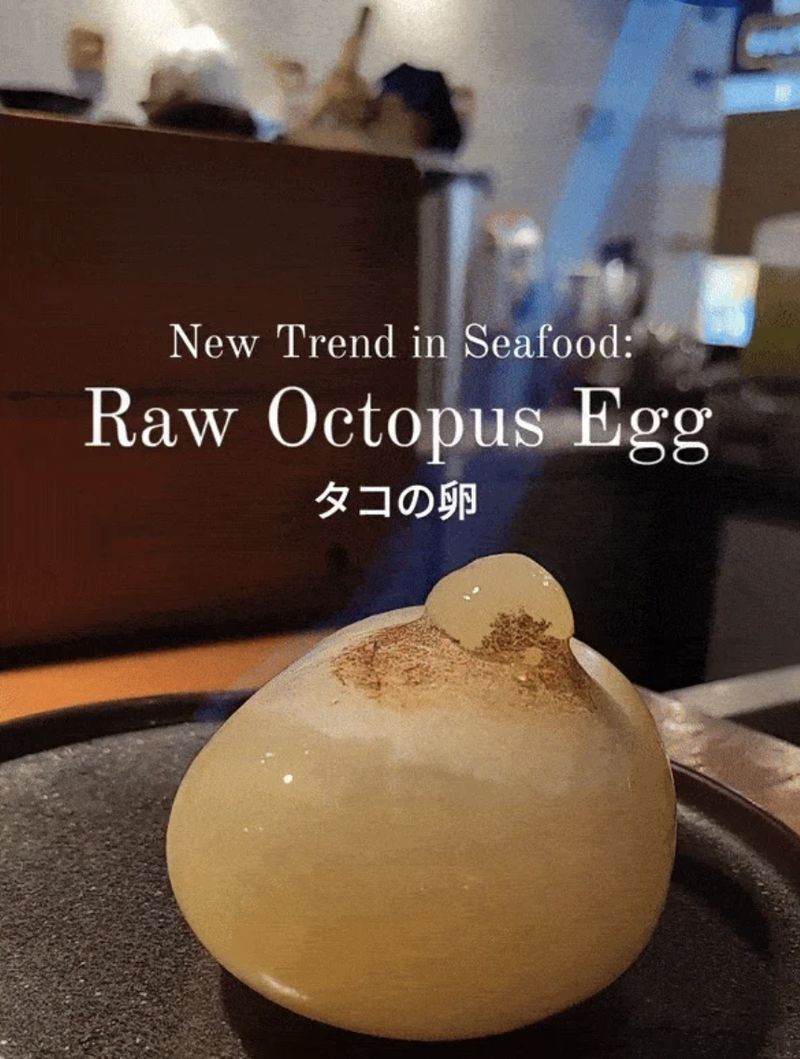 Menu telur gurita