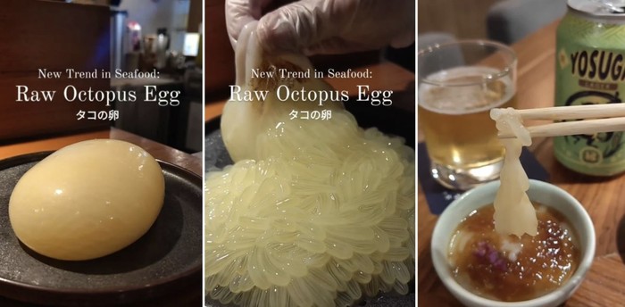 Menu telur gurita