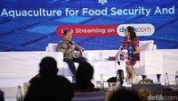 Beliau juga mengatakan pemerintah Indonesia berkomitmen akan memberikan kemudahan izin untuk para investor berinvestasi di Indonesia. Selain itu, juga akan dibantu insentif keamanan dan kestabilan iklim politik.