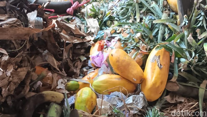 Pedagang Pasar Induk Buang Pepaya
