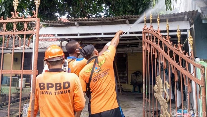 teror ulat bulu di Situbondo
