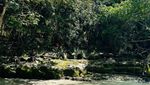 Satu Lagi yang Sangat Indah di Sumba Timur: Air Terjun Tanggedu
