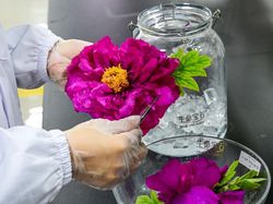 China Bisa Bikin Berlian dari Bunga, Bukan Main!