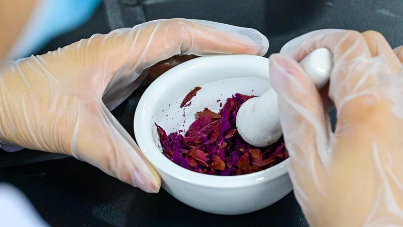 China Sukses Bikin Berlian dari Bunga Peony