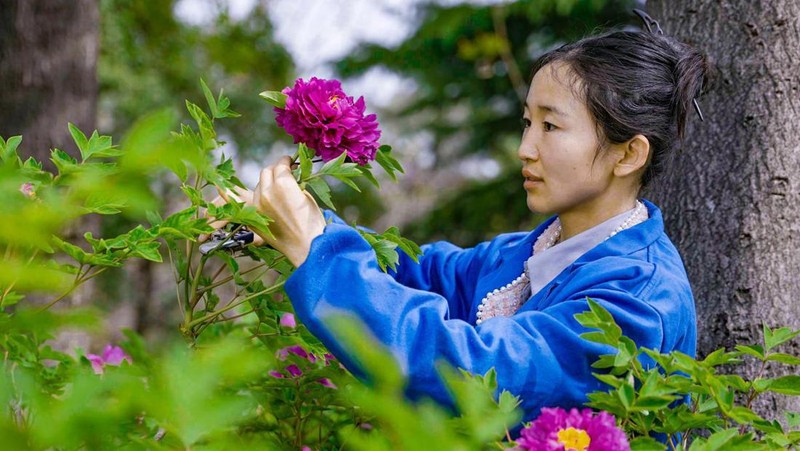 China Sukses Bikin Berlian dari Bunga Peony