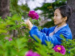 China Bisa Bikin Berlian dari Bunga, Bukan Main!