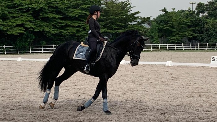Atlet equestrian Indonesia, Victoria Lee, tak mau tampil percuma pada Equestrian All Star Tour. Demi mencapai hasil maksimal, dara yang akrab disapa Vicky terrsebut berlatih dengan Larasati Gading.