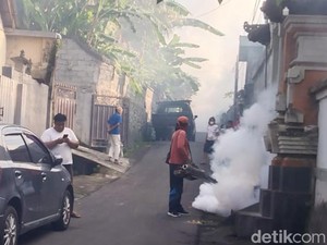 Demam Berdarah Makin Mengganas di Gianyar