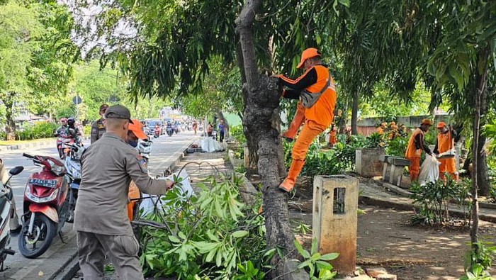 Kondom Berserakan di RTH Jakbar, Walkot Duga Imbas Kalijodo Ditertibkan