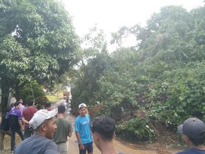 Jalan Trans Sulawesi di Mamuju Tengah Diterjang Longsor, Lalin Tersendat