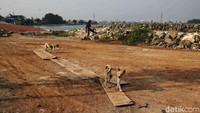 Menurut keterangan pekerja, saat ini pembangunan Waduk Marunda telah memasuki tahap finishing.