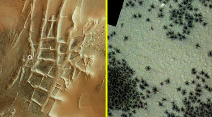 Penampakan ratusan laba-laba di Mars
