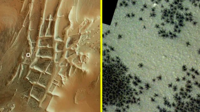 Penampakan ratusan laba-laba di Mars