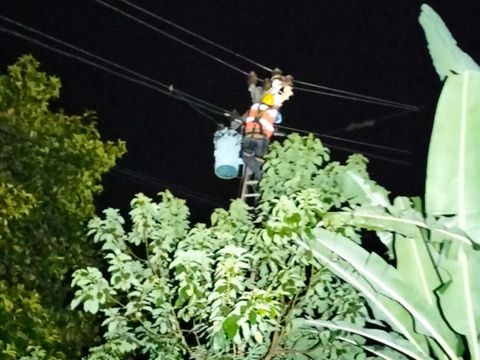 Petugas PLN Klaten mengecek ular yang melilit kabel listrik di Manisrenggo, Kabupaten Klaten, Senin (29/4/2024) malam.