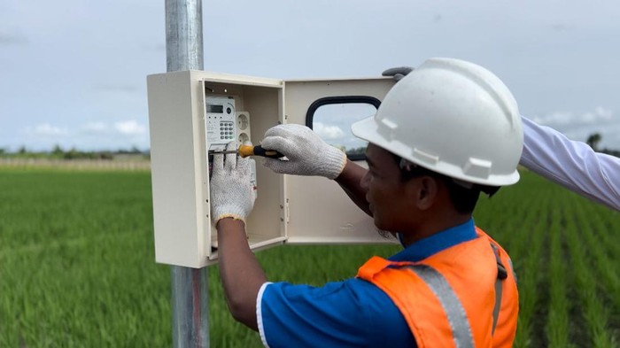 Program Electrifying Agriculture PLN Mampu Tingkatkan Produktivitas Pertanian Padi di Ponorogo
