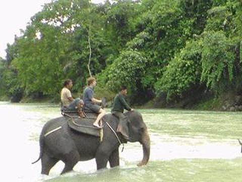 Tangkahan
