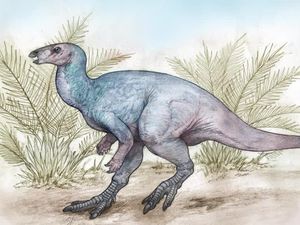 Fosil Dinosaurus Berusia 90 Juta Tahun Ditemukan di Argentina