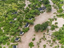 Foto Udara Cagar Alam Maasai Mara di Kenya Kebanjiran