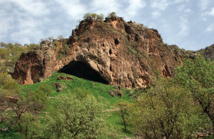 Manusia purba Neanderthal