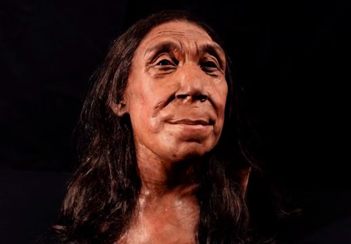 Manusia purba Neanderthal