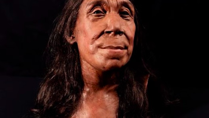Manusia purba Neanderthal