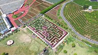 Pemandangan dari udara Taman bunga Labirin di Dongyang, Provinsi Zhejiang, China, Senin (29/5/2024).