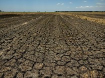 BMKG Ungkap Potensi Kemarau Berkepanjangan, Minta Hal Ini ke Pemerintah