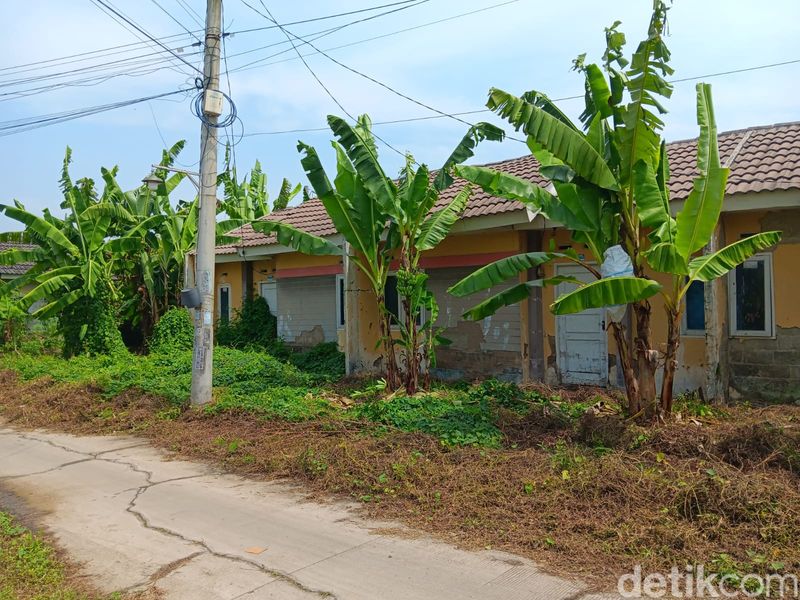 Program Rumah Murah Jokowi