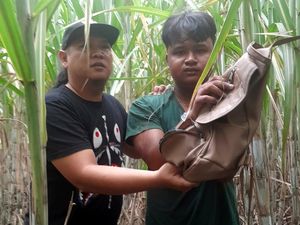 Jambret Sadis yang Bikin Emak-emak Patah Kaki di Mojokerto Ditangkap