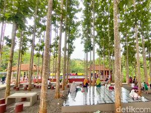 Pesona Djati Emplak, Wisata Hidden Gem di Pangandaran