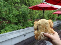 Taman Bermain Ghibli Park Kini Jualan Snack Kodok Panggang yang Unik