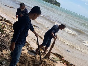 Bangkai Dugong Ditemukan di Pantai Pajinggahan Bawean