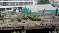 Selain itu, terdapat greenhouse atau kebun hidroponik di lahan tersebut.