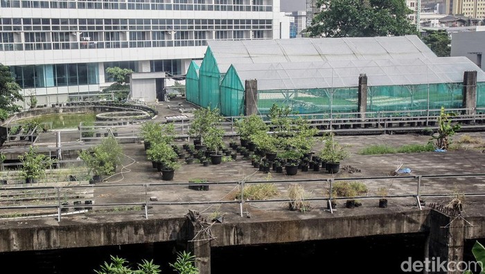 Sebuah gedung makrak yang di berada di Jakarta, dimanfaatkan sebaga kebun Hidroponik. Ini penampakannya.