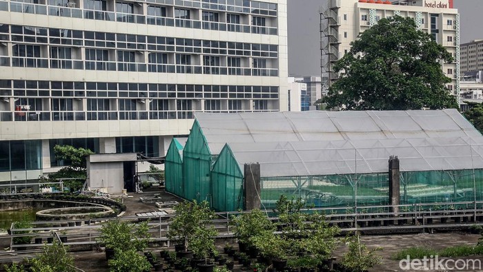 Gedung Mangkrak Dimanfaatkan Jadi Kebun Hidroponik