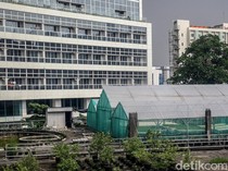 Gedung Mangkrak Dimanfaatkan Jadi Kebun Hidroponik