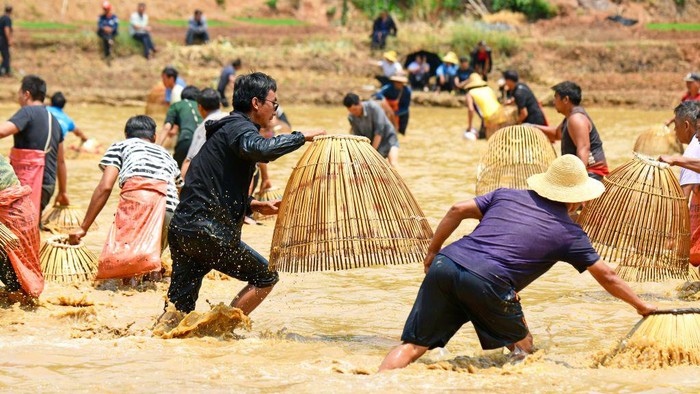 Warga China melakukan kegiatan menangkap ikan dengan cara tradisional. Mereka menangkap ikan menggunakan perangkap dari bambu.