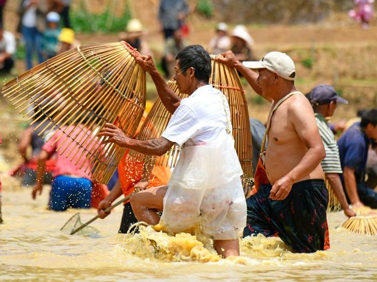 Potret Keseruan Tradisi Menangkap Ikan di China
