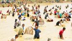 Potret Keseruan Tradisi Menangkap Ikan di China