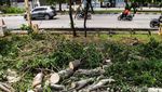 Potret RTH Jakbar Terkini Usai Temuan Sampah Kondom
