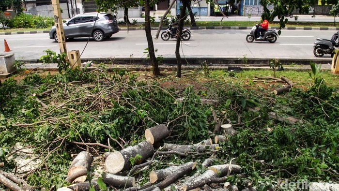 RTH Jakbar Terkini Usai Temuan Sampah Kondom Ruang terbuka hijau (RTH) Jalan Tubagus Angke, Jakbar, berbenah usai kejadian sampah kondom berserakan. Pohon-pohon ditebang untuk mencegah kejadian mesum.