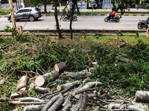 Potret RTH Jakbar Terkini Usai Temuan Sampah Kondom