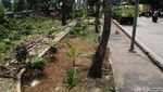 Potret RTH Jakbar Terkini Usai Temuan Sampah Kondom
