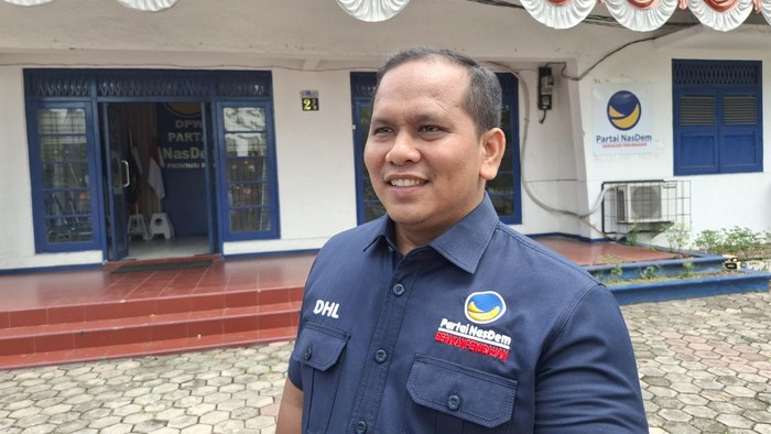Wakil Ketua Bid Bappilu NasDem Riau, Dedi Lubis (Raja Adil Siregar/detikSumut)