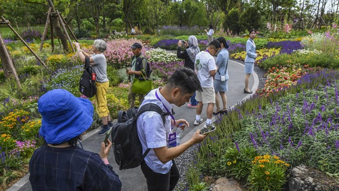 Mengamati Ribuan Jenis Tanaman di Pameran Hortikultura China Pengunjung mengamati tanaman saat Pameran Hortikultura Internasional 2024 Chengdu di Chengdu, Sichuan, China, Selasa (30/4/2024). Pameran hortikultura yang menjadi salah satu destinasi wisata untuk para atlet dan delegasi tim Thomas dan Uber 2024 tersebut menampilkan ribuan jenis tanaman dan bunga dari 33 Provinsi yang ada di China serta menjadi simbol persahabatan antara Chengdu dan berbagi kota di dunia. ANTARA FOTO/Galih Pradipta/aww.