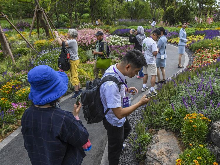 Mengamati Ribuan Jenis Tanaman di Pameran Hortikultura China